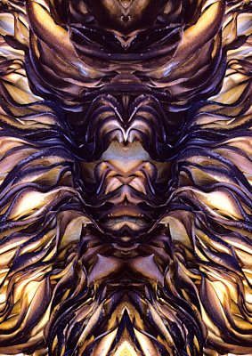 Fungi-Underside-1a-Konfabulation