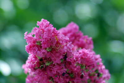 g4/53/8353/3/127868564.sOwsCanG.jpg