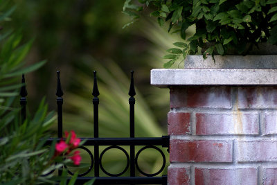 The Neighbor's Fence