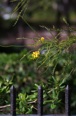 DSC09753.JPG