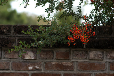 DSC09817.JPG