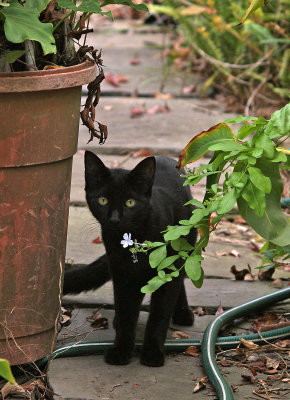 DSC09898.JPG