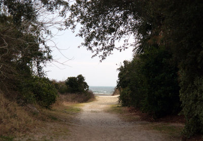 The path from the beach