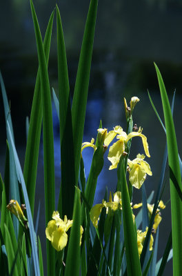 1024DSC04929.jpg