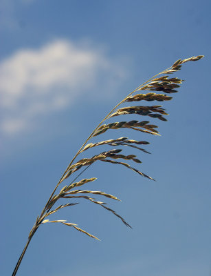 1024DSC06739.jpg