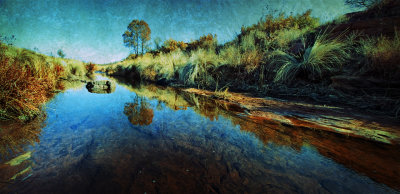 Creek, Ezemvelo, Gauteng