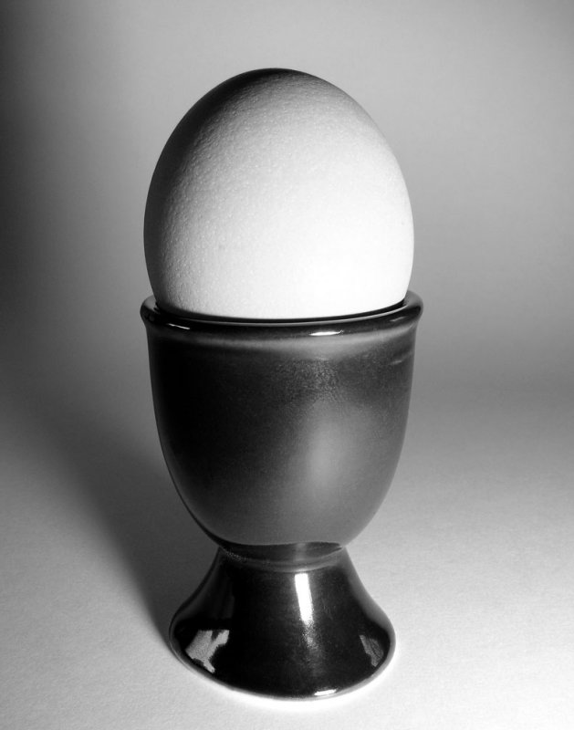 Egg