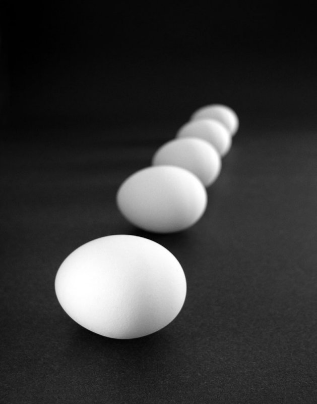 Eggcho