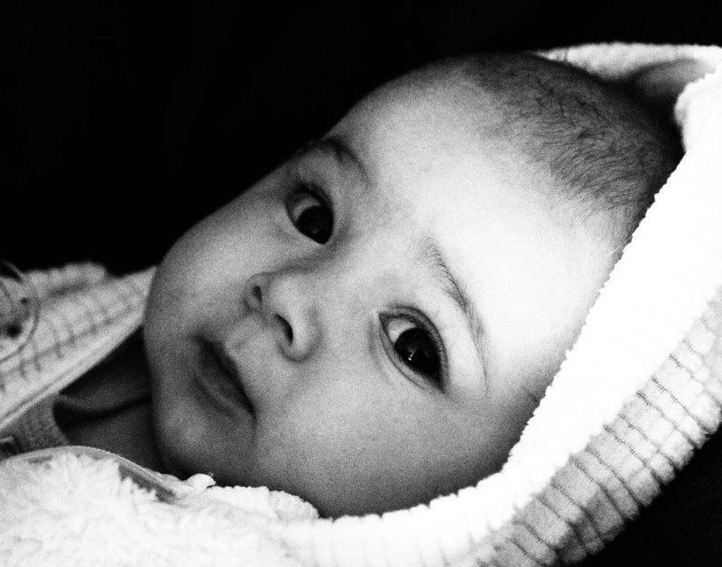 pb02-12-10-01.jpg