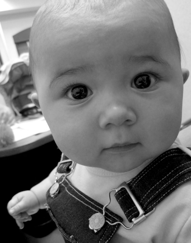 pb08-08-10-021a.jpg