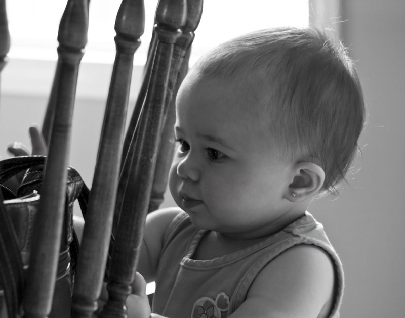 pb08-08-10-035a.jpg