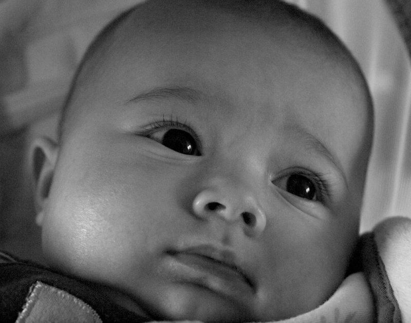 pb12-28-09-107.jpg