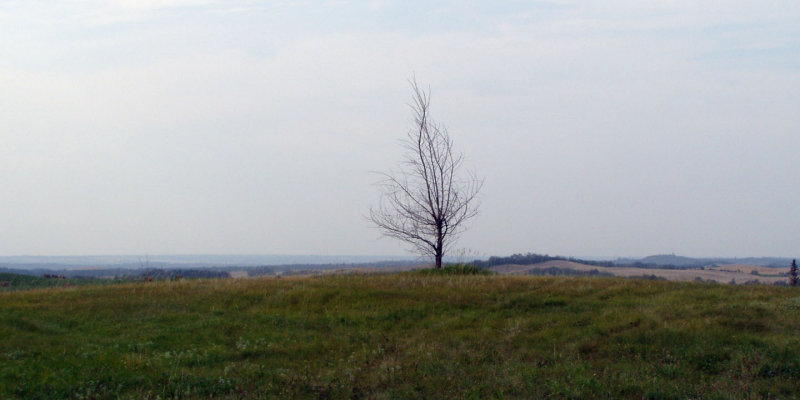 pb07-06-03-8.jpg