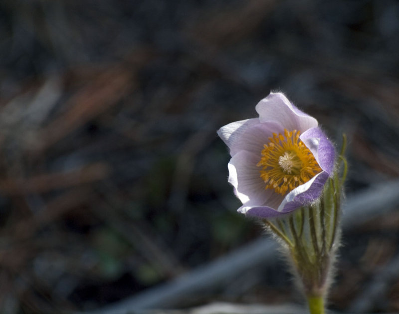 pb05-20-09-104.jpg