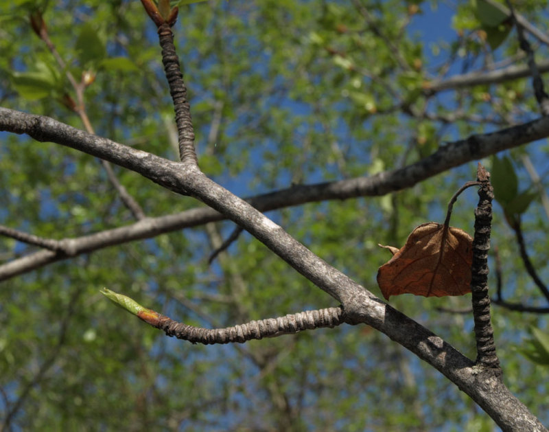 pb09-15-08-21.jpg