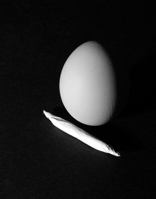 Eggsperiment.jpg