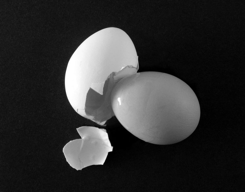 Eggcident.jpg
