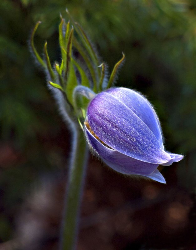 pb05-20-09-105a.jpg