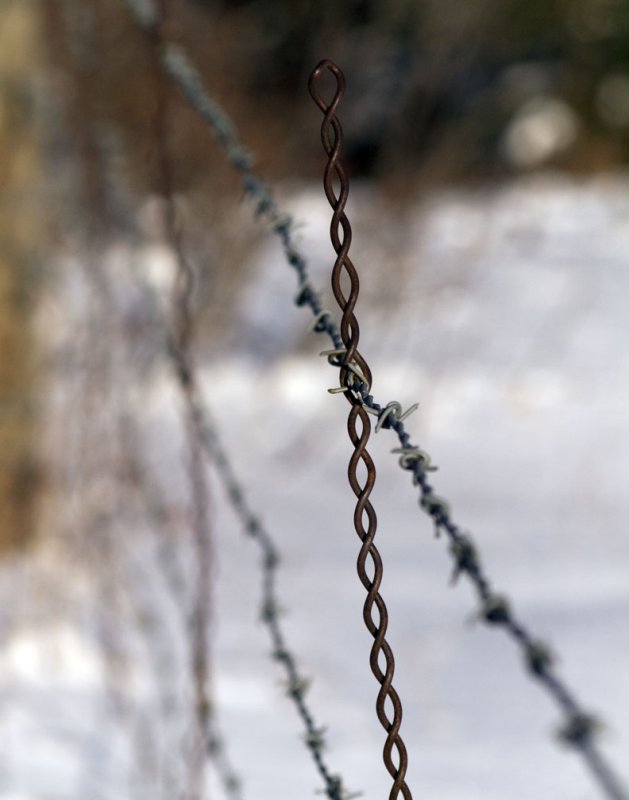 pb12-28-09-153.jpg