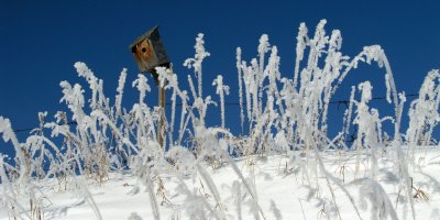 pb02-16-04-8a.jpg