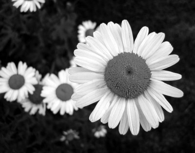 pb05-04-03-57a.jpg