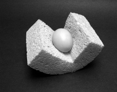 Eggspunge.jpg