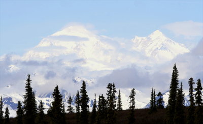 Denali N 11 060408.JPG