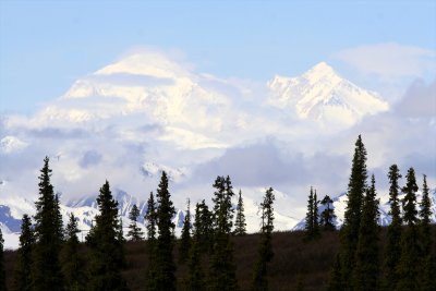 Denali N 12 060408.JPG