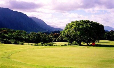 45970564_Aloha2web.jpg