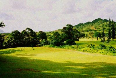 45970565_Aloha3web.jpg