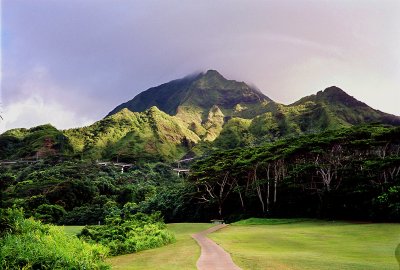 45970566_Aloha5web.jpg