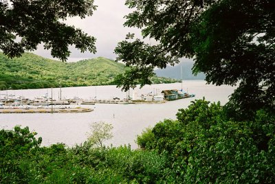 45970567_aloha10web.jpg