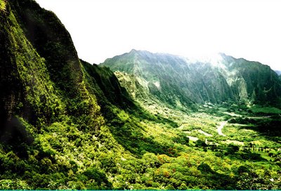 45970568_aloha11web.jpg
