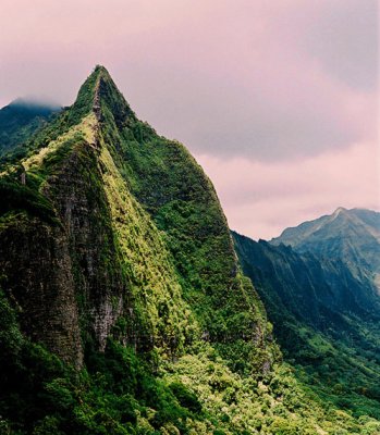 45970569_aloha12web.jpg