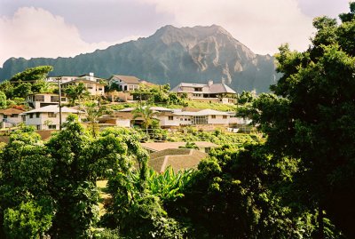 45970571_aloha14web.jpg