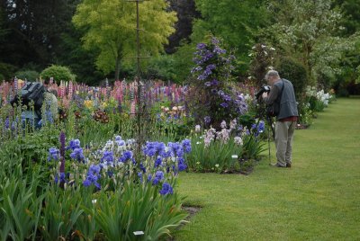 Iris at Schreiners Gardens - May 26, 2012