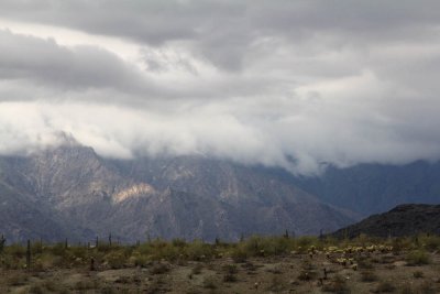 Winter Morning Clouds