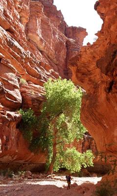 Hiking In the Slot Canyon