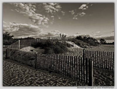 P5014032-2R.jpg