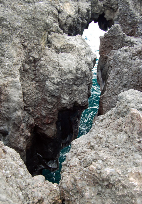 DSC_0952.JPG
