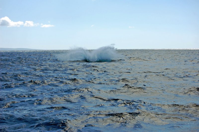 DSC_1044.JPG