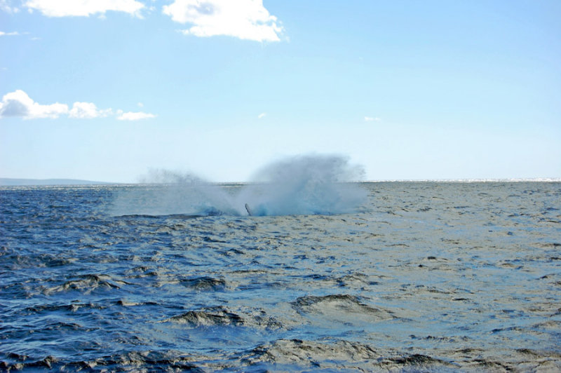 DSC_1045.JPG