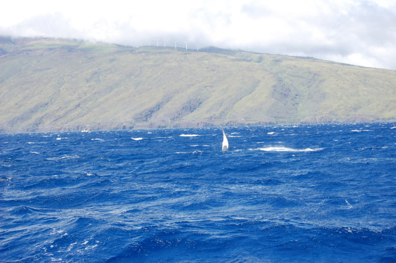 DSC_1060.JPG