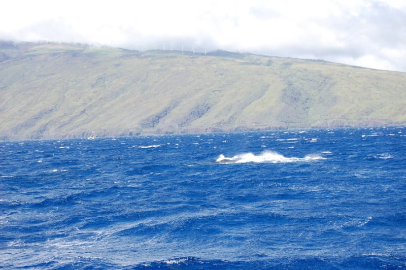 DSC_1061.JPG