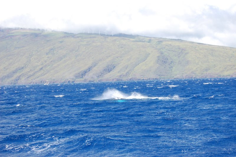 DSC_1062.JPG