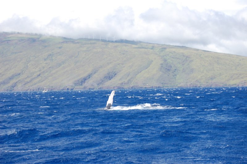 DSC_1063.JPG