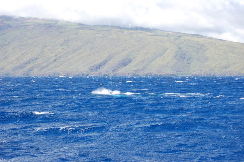 DSC_1066.JPG