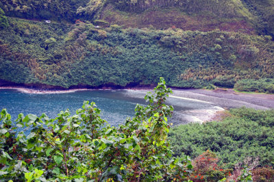 DSC_0904.JPG