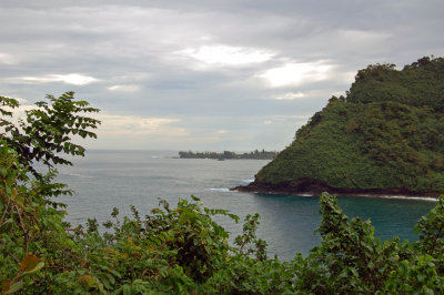 DSC_0906.JPG