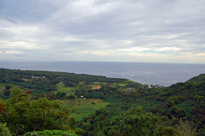 DSC_0907.JPG